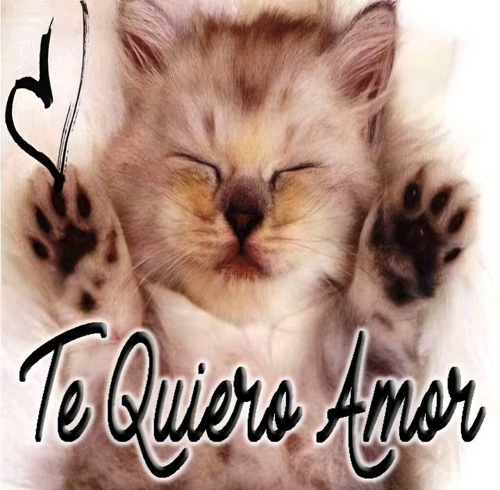 tervkkrr's tweet photo. @Chriskam4419 Como que todavía, amor ya besame https://t.co/w99je4cAWE