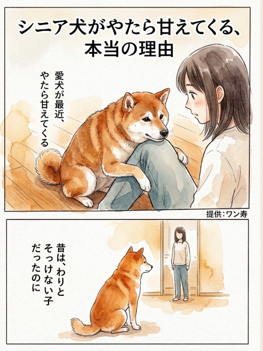 lifefire_zndmn's tweet photo. 愛犬が最近、やたら甘えてくる https://t.co/1mhQMGWAMT