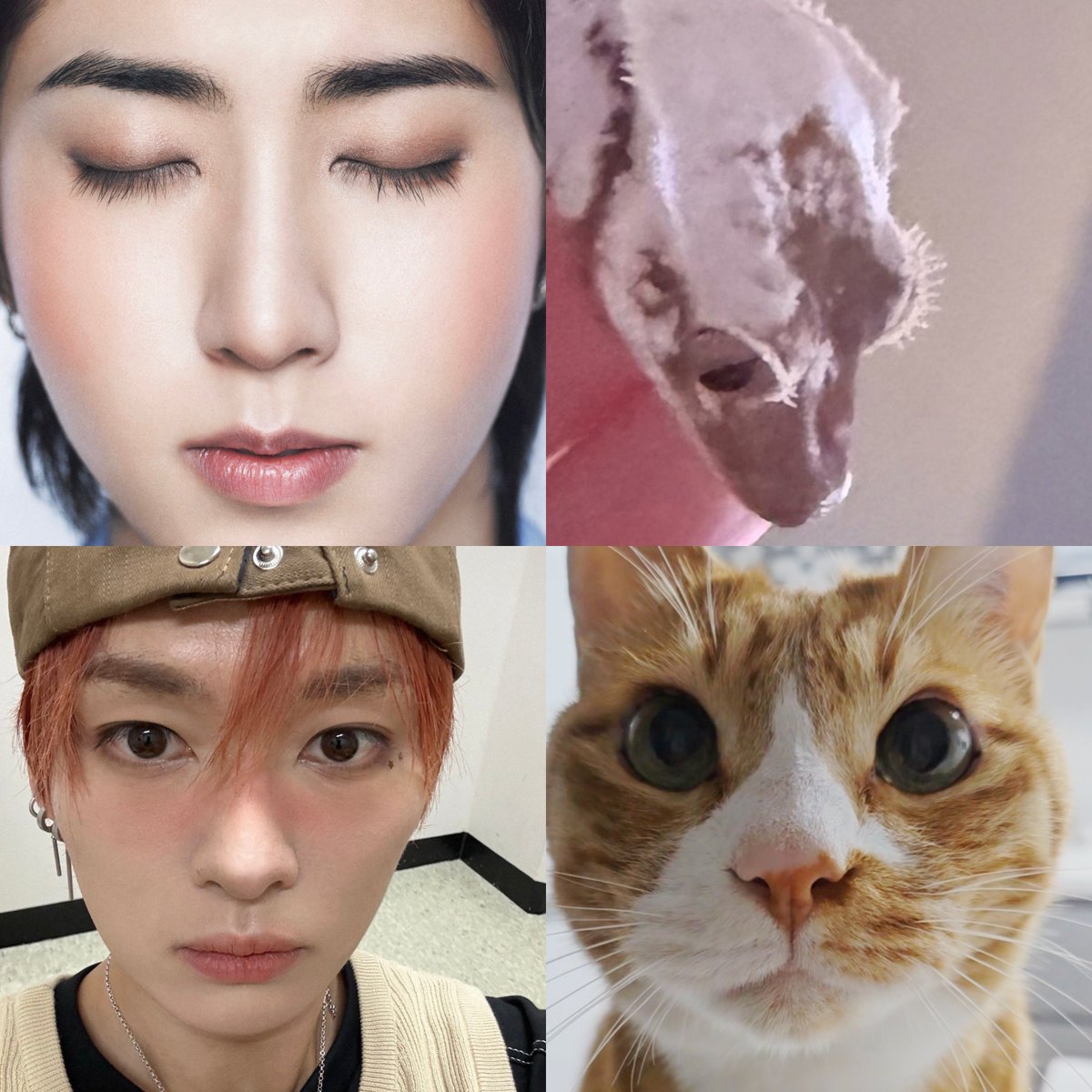 minhoadickted's tweet photo. DNA doesn’t lie 🧬 https://t.co/D4tJn7RFiq