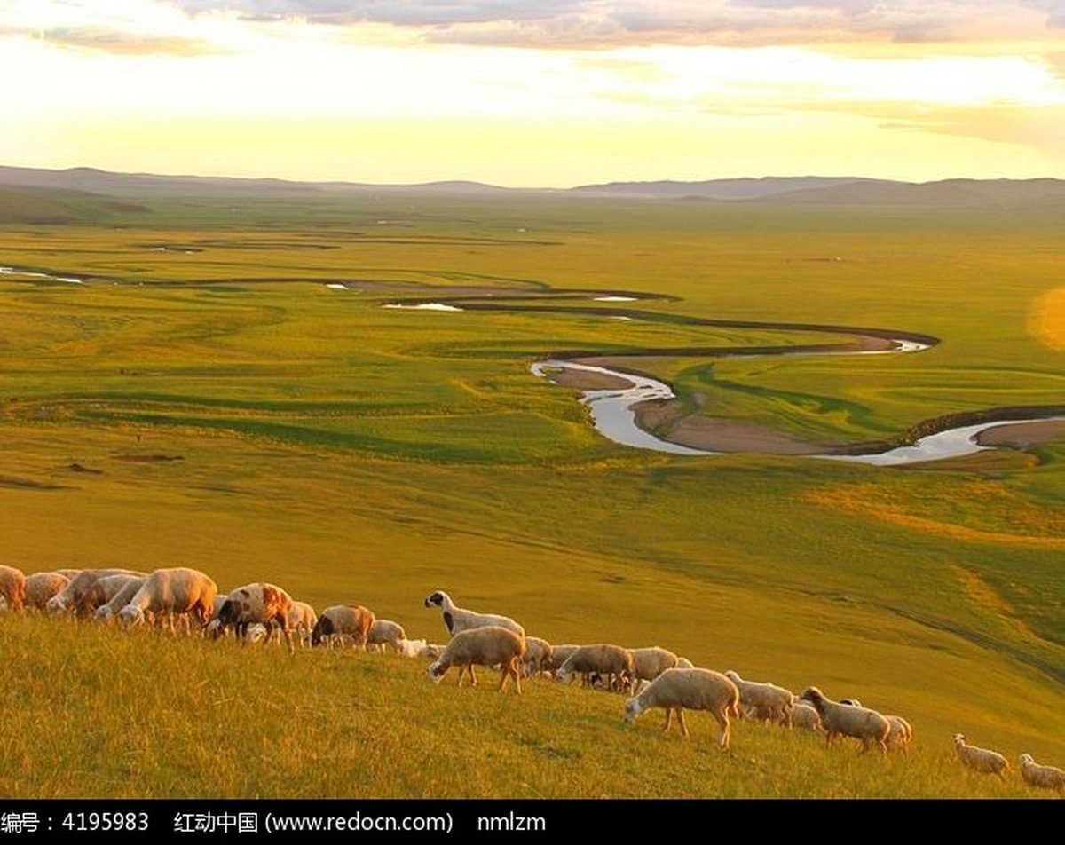 _Lucas717's tweet photo. Spent the sunset chasing sheep on a remote mountain meadowโcold breeze, golden light, way better than any crowded city view. #OffTheBeatenPath https://t.co/44Sdq4BPDm