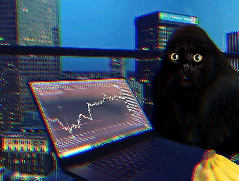 apecatonpump's tweet photo. apecat staying workin for you niggas https://t.co/saSLHIl20h