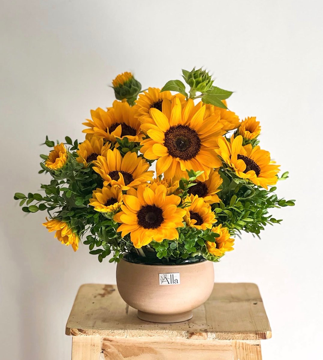 sunflowerchives's tweet photo. So lovely💛 https://t.co/b90YKf67La