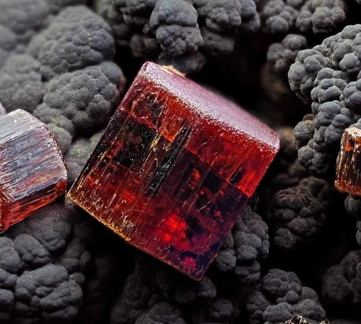 wana_visualss's tweet photo. 🇲🇦 The fiery red vanadinite of Taouz Mine, Morocco. https://t.co/D4d9Trq2CG