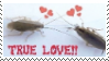 zombiegirlbug's tweet photo. ㅤㅤㅤㅤㅤㅤㅤㅤㅤㅤ ㅤㅤㅤㅤㅤㅤ
ㅤㅤ꒰ ㅤbug ❤️ stamps
ㅤㅤㅤㅤㅤㅤㅤㅤㅤㅤㅤㅤㅤㅤㅤㅤ https://t.co/PMccKZTZ6m