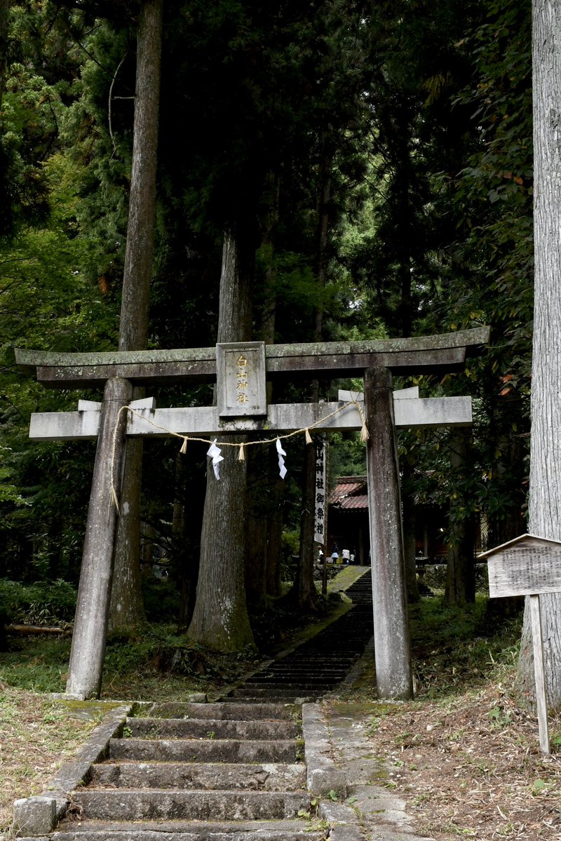 nagisokankou's tweet photo. 今年の与川白山神社祭礼(秋)は、宮司の都合により1週間遅れての開催となります。

例年: 10月第3日曜日(10/18)
今年: 10月第4日曜日(10/25)

神楽獅子が舞う伝統ある祭り。
ぜひ地元の方と一緒にお楽しみください✨

https://t.co/hAtJEw0i3D

#与川白山神社祭礼 #秋祭り #神楽獅子 #雌獅子 https://t.co/3Em9zKOVB1