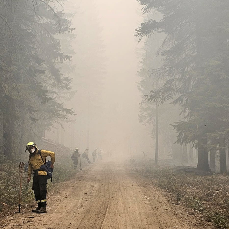 ACT_ESA's tweet photo. ACT Rural Fire Service members are continuing to support firefighting operations across North America, working alongside international partners in challenging conditions in both the United States and Canada.

Crews in the US have been supporting operations on the Little Giant Fire in Oregon and Washington, carrying out blacking out and mop-up work alongside specialist Hotshot crews.

This weekend will see the first ACT contingent returning home to Canberra after completing a successful deployment of more than a month.

The conditions our personnel are working in remain demanding, with heavy smoke, rugged terrain and even encounters with local wildlife all part of the job. Despite these challenges, our firefighters continue to demonstrate their professionalism, resilience and teamwork.

@ACT_Parks personnel are also involved in these deployments, a reminder of the depth of expertise that our territory can offer during major emergency events.

A big thank you to all of our deployed firefighters for representing Canberra on the world stage. We look forward to welcoming our returning crews home, and wish those still on deployment a safe and successful remainder of their time overseas. 🌎🚒
