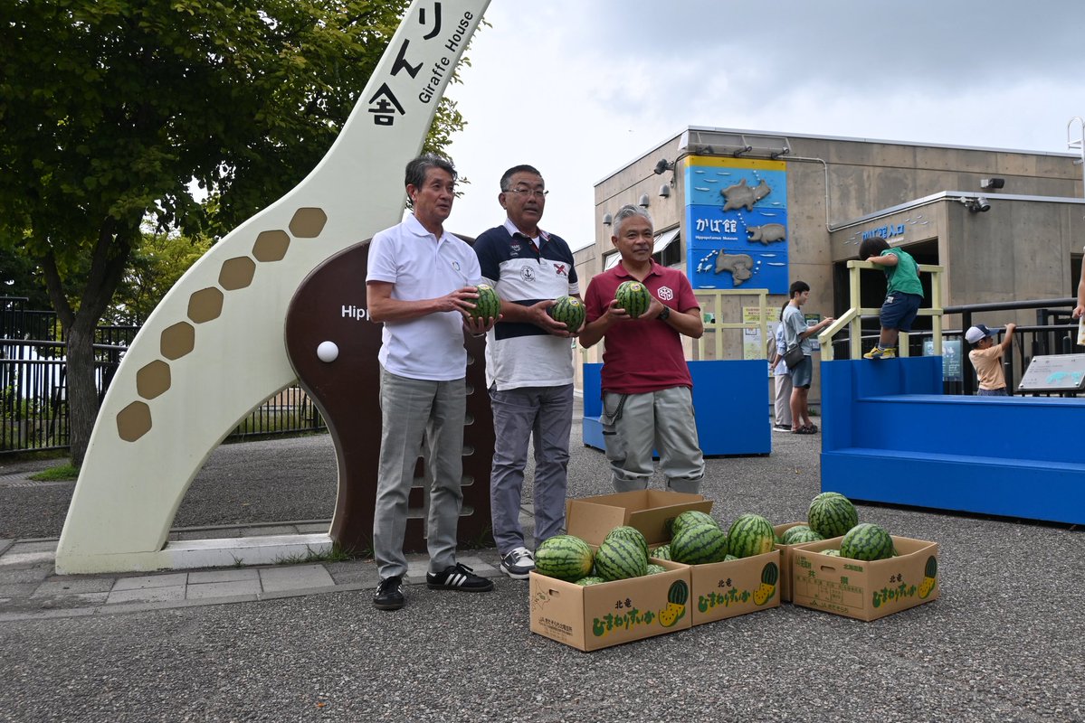 asahiyamazoo1's tweet photo. 【北竜町ひまわりすいかの寄贈について】

この度、北竜ひまわりすいか生産組合（北海道北竜町/ＪＡきたそらち）様から、同町の特産品であります「ひまわりすいか」を多数寄贈いただきました。 https://t.co/8P62nkRHmf