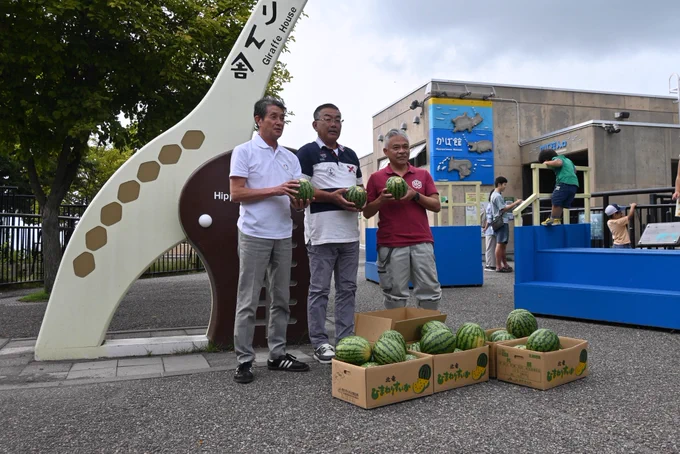旭川市旭山動物園［公式］ on X: 