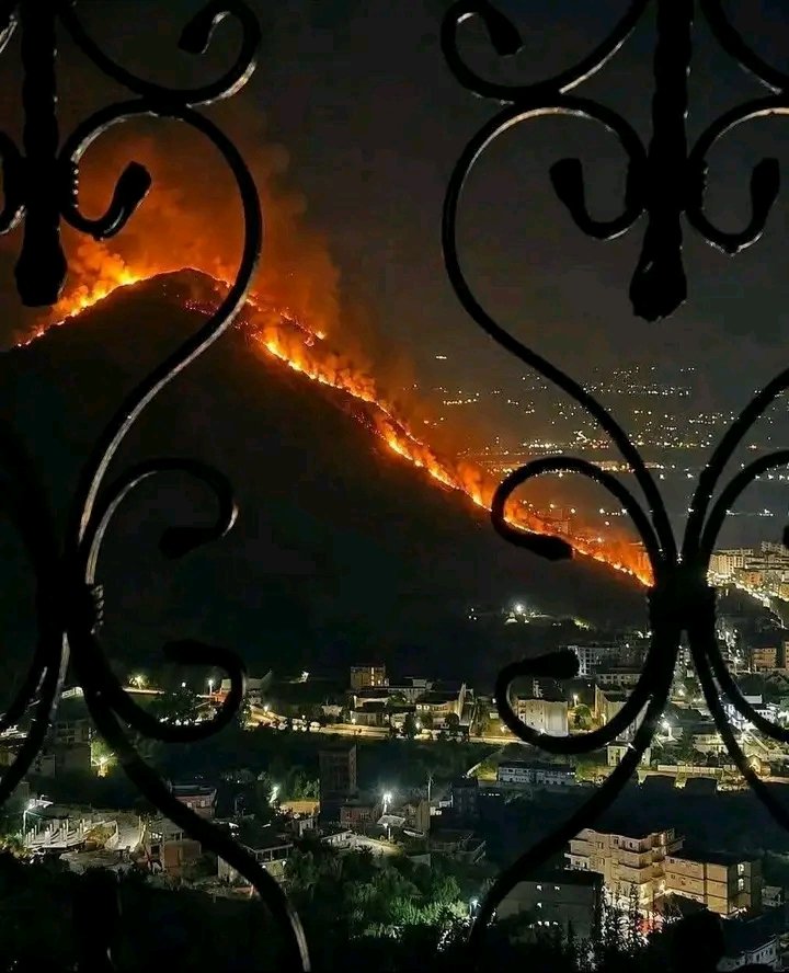 DILISSYA's tweet photo. اللهم إنا نعوذ بك من شرّ ما خلق، اللهم احفظنا واحفظ أهلنا وبلادنا من كل سوء، وأطفئ هذه النار، واجعلها بردًا وسلامًا، واكفنا شرها يا رب العالمين 🤲🤲 https://t.co/XJoCRIAj2O
