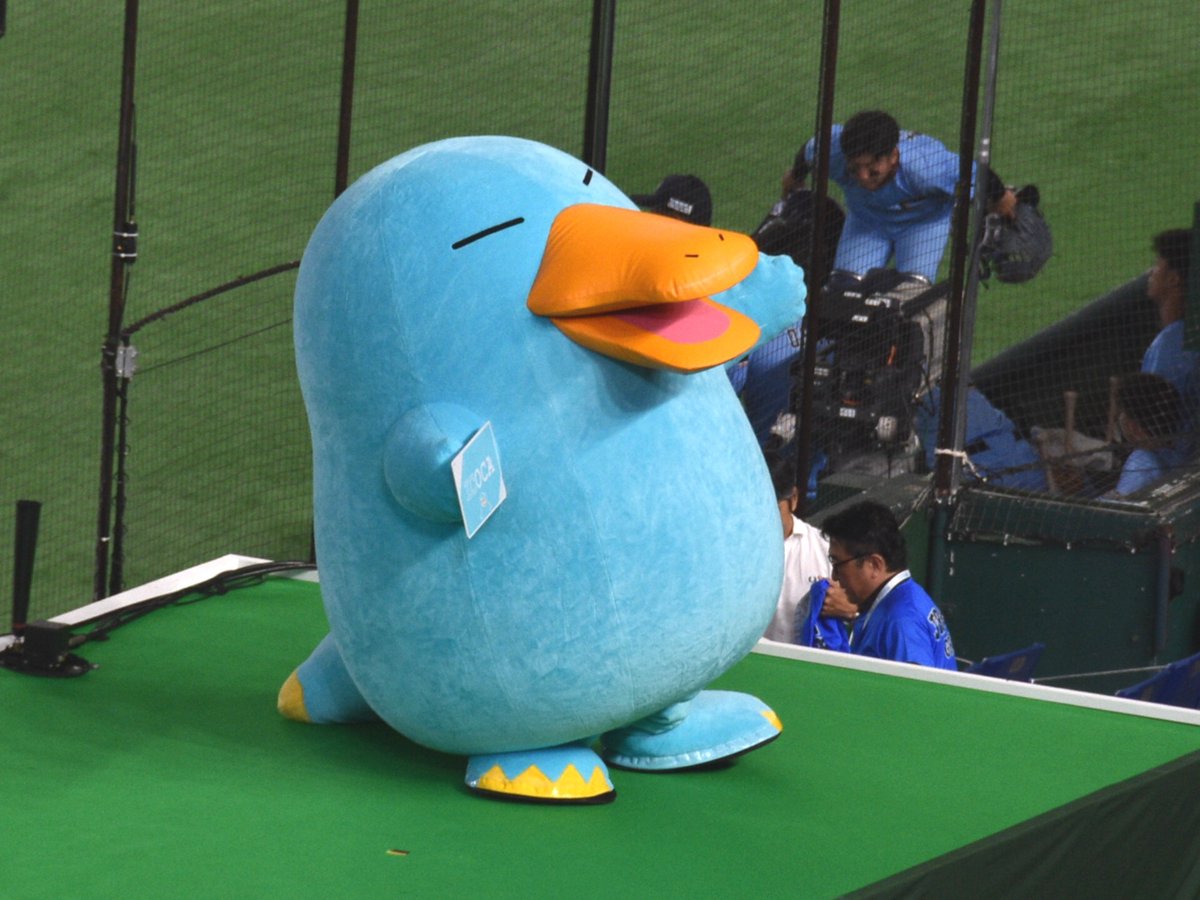 souden_11's tweet photo. 六甲山の輝ける光明星にして公共交通統合の象徴、我らが西日本の偉大な領導者であらせられるカモノハシのイコちゃん同志 https://t.co/Qjpu0orAoS