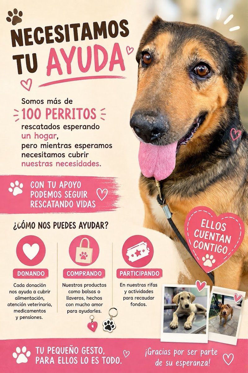 HELA_MORE's tweet photo. ¿Nos ayudas a seguir salvando vidas? https://t.co/POUiz4IZ4X