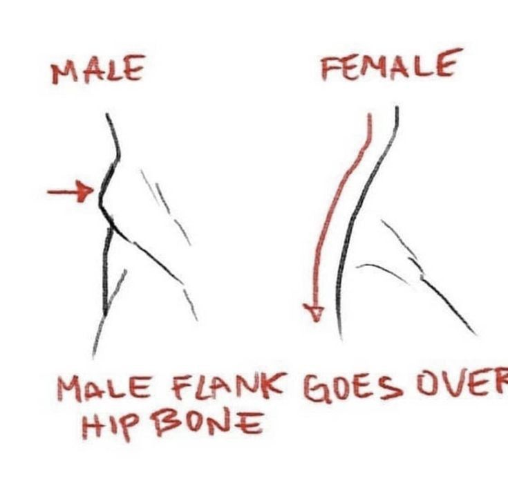 tripletfandom's tweet photo. Anatomy tips worth saving 📌 https://t.co/mTsckZ7ZiJ
