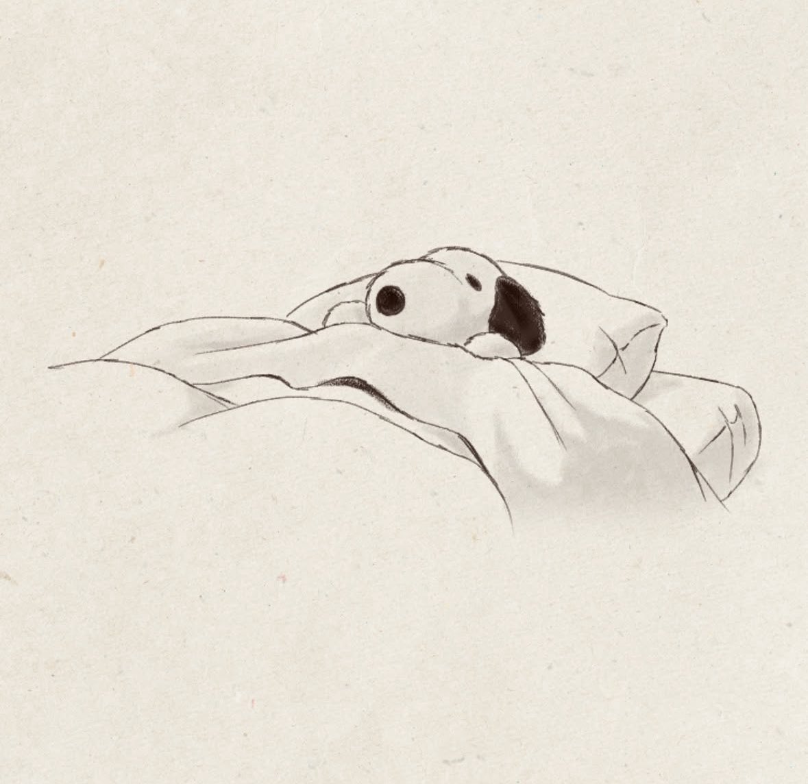 cavempty_'s tweet photo. all tucked in https://t.co/CFI1xUlzsI
