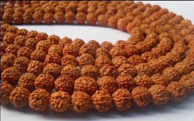 Maha_Periyavaa's tweet photo. உங்கள் நட்சத்திரத்திற்கு எந்த ருத்திராட்சம் போடலாம்?

ஒவ்வொரு நட்சத்திரத்திற்கும் உகந்த ருத்ராக��ஷங்கள் நமது அற நூல்களில் குறிப்பிடப்பட்டுள்ளன.

ஆனால் ருத்ராக்ஷத்தைப் பொறுத்தவரை எதை அணிந்தாலும் நிச்சயம் தீங்கு பயக்காது. மிக்க நலத்தையே நல்கும்..

இவற்றை நல்ல நாள் பார்த்து பாலில் நனைத்து தெய்வ சந்நிதியில் அணிவது மரபு.

ருத்ராக்ஷம் அணிய மிக உத்தமமான நட்சத்திரமாக பூசம் என்று நம் அற நூல்களில் குறிப்பிடப்படுகிறது. 

இதனுடைய அதிபதி சனி. இந்த நட்சத்திரத்தில் பிருகஸ்பதி உச்சத��தில் இருக்கிறார். ஆகவே வியாழக்கிழமையும் பூச நட்சத்திரமும் கூடிய அதி உ��்னதமான நாளில் ருத்ராக்ஷம் அணிந்தால் மிக சிறப்பாகும். 

வாரம் ஒரு முறை வியாழக்கிழமையும் மாதம் ஒரு முறை பூச நட்சத்திரமும் வந்தாலும் கூட இவை இரண்டும் இணைவது வருடத்திற்கு ஒரு முறையோ அல்லது இரு முறையோ தான்! 

ஆகவே அந்த நாளைக் குறித்து வைத்துக் கொண்டு ருத்ராக்ஷம் அணிதல் வேண்டும்.

1) அஸ்வினி - கேது - ஒன்பது முகம்

2) பரணி - சுக்ரன் - ஆறு முகம்

3) கார்த்திகை - சூர்யன் - ஒரு முகம் அல்லது பனிரெண���டு முகம்

4) ரோகிணி - சந்திரன் - இரண்டு முகம்

5) மிருகசீரிஷம் - செவ்வாய் - மூன்று முகம்

6) திருவாதிரை - இராகு - எட்டு  முகம்

7) புனர்பூசம் - பிருஹஸ்பதி - ஐந்து முகம்

8) பூசம் - சனி - ஏழு
முகம்

9) ஆயில்யம் - புதன் - நான்கு முகம்

10) மகம் - கேது - ஒன்பது முகம்

11) பூரம் - சுக்ரன் - ஆறு முகம்

12) உத்தரம் - சூர்யன் - ஒரு முகம் அல்லது பனிரெண்டு முகம்

13) அஸ்தம் - சந்திரன் - இரண்டு முகம்

14) சித்திரை - செவ்வாய் - மூன்று முகம்

15) சுவாதி - இராகு - எட்டு முகம்

16) விசாகம் - பிருஹஸ்பதி - ஐந்து முகம்

17) அனுஷம் - சனி - ஏழு முகம்

18) கேட்டை - புதன் - நான்கு முகம்

19) மூலம் - கேது -  ஒன்பது முகம்

20) பூராடம் - சுக்ரன் - ஆறு முகம்

21) உத்திராடம் - சூர்யன் -  ஒரு முகம் அல்லது பனிரெண்டு முகம்

22) திருவோணம் - சந்திரன் -  இரண்டு முகம் 

23) அவிட்டம் - செவ்வாய் - மூன்று முகம்

24) சதயம் - இராகு - எட்டு முகம்

25) பூரட்டாதி - சனி - ஐந்து முகம்

26) உத்திரட்டாதி - சனி - ஏழு முகம்

27) ரேவதி - புதன் - நான்கு முகம்