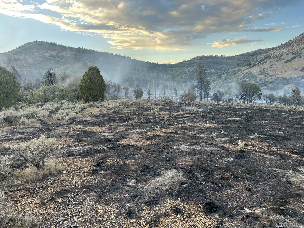 UtahWildfire's tweet photo. π¨ NEW START: #FordFire π¨
in Utah County is estimated at 30+ acres and is burning in Spanish Fork Canyon, highly visible from US-6.
No structures are currently threatened. Resources are on scene, with additional crews responding.
#FordFire #UtahWildfires https://t.co/3cTXeOPosG