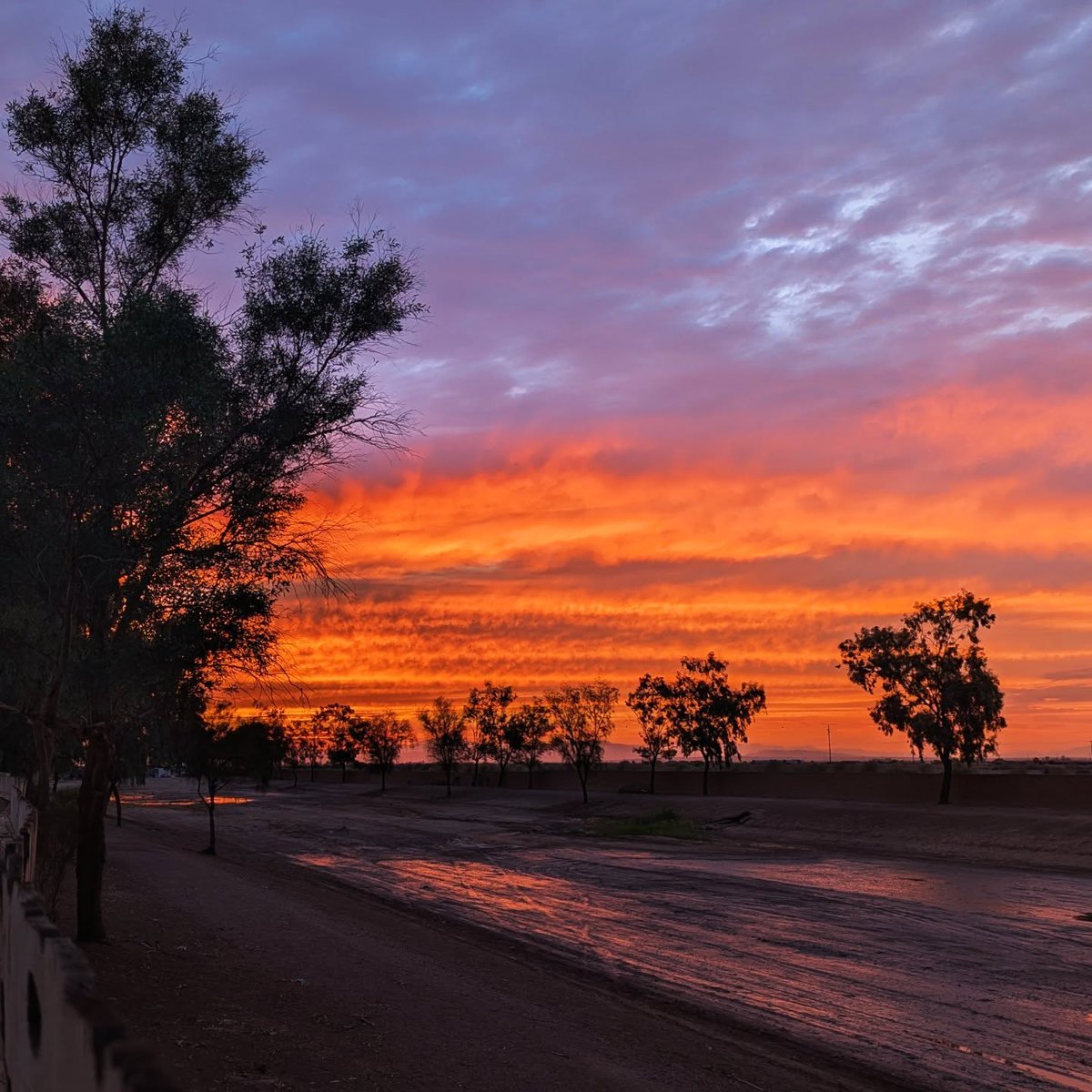 theDSGal's tweet photo. 🫠 Ridiculously HOT 🔥 days make for fabulous sunsets! 🌄

#sunset #nightsky #sundown #digitalstrategygal #ImperialCA #ImperialValleyCA #ImperialCounty #virtualassistantlife #theDSGal
📷: by me https://t.co/GdIesYbEX4