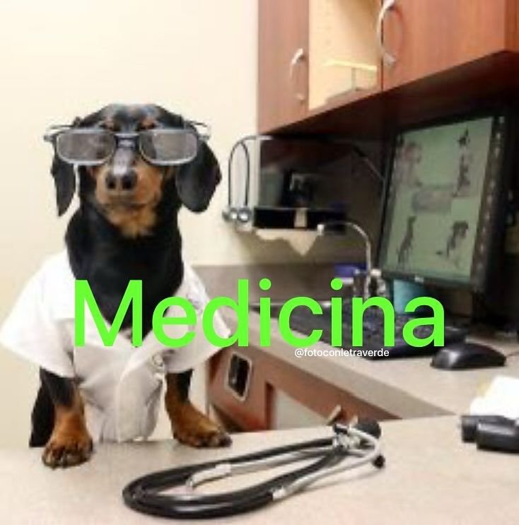 Soy_Andiie's tweet photo. Yo nunca vi a Meredith Grey pelearse por un paquete de hojas https://t.co/1ZW0OGD4P2