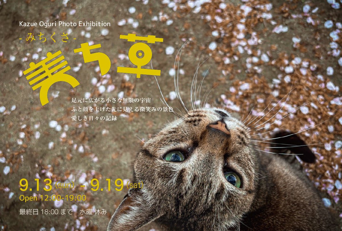 t_maron's tweet photo. 写真展『美ち草』の準備。

ClaudeにLightroomの使い方について、こうしたいけど、どうしたらええの？って質問しながらレタッチをしている。

ほんまにイチからの旅。 https://t.co/Jp3fwAvgjk