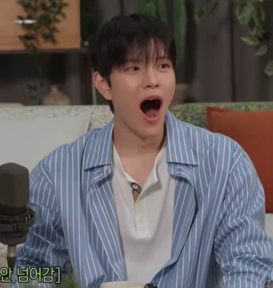 seungelical's tweet photo. es tan graciosa la forma en la que Seungmin se escandaliza cada vez que al grupo lo llaman “straight kids” 😭😭 https://t.co/m0ZGrTDR3z
