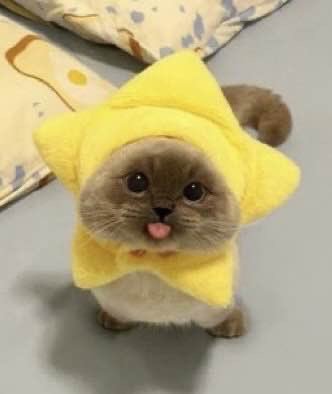 Water_Shorts's tweet photo. @scratchycatty Yeah https://t.co/15wNKtFJkc