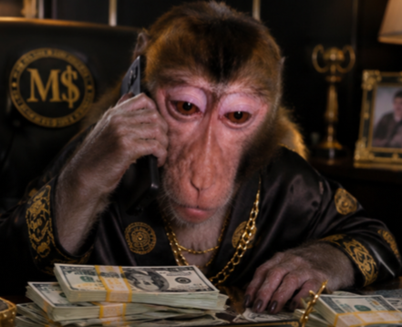 apeoncall's tweet photo. business calls https://t.co/xs5RyZlNgO