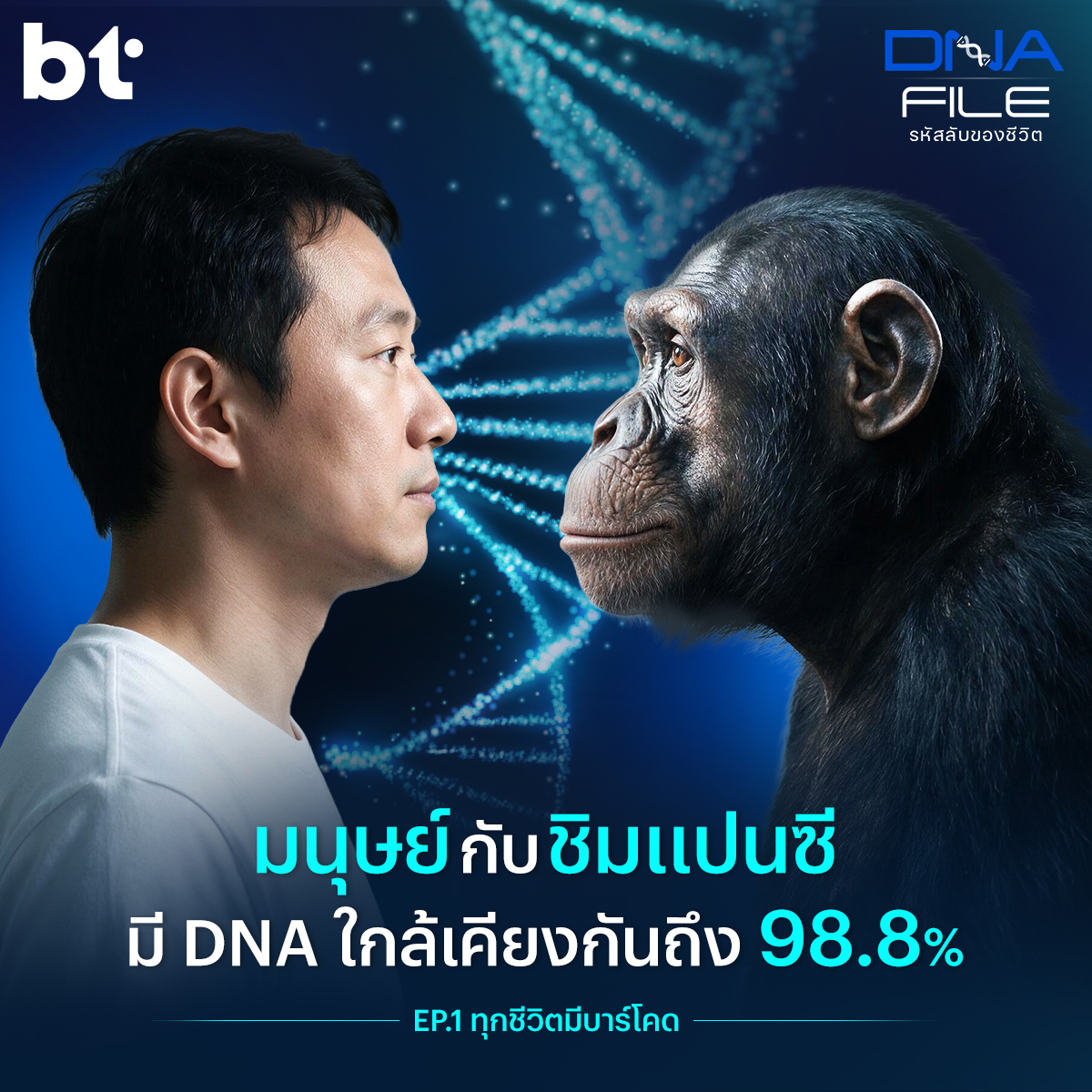 beartai's tweet photo. สิ่งมีชีวิตบนโลกนี้มีข้อเท็จจริงที่ทำให้เราทึ่งได้เสมอ

📌 รหัสใน DNA ที่บอกได้ว่าสัตว์ชนิดต่าง ๆ เคยอยู่ที่ไหนมาก่อน
📌 ความต่างกันของ DNA ระหว่างมนุษย์และชิมแปนซีแค่ไม่กี่เปอร์เซ็นต์ แต่กลับสร้างความต่างของเผ่าพันธุ์ได้อย่างมหาศาล
📌 เรื่องราวของบรรพบุรุษร่วมกันของสิ่งมีชีวิตบนโลกก่อนเราจะแยกสายในการวิวัฒนาการ
📌 ความจริงที่ว่ามนุษย์ส่วนใหญ่ทั่วโลกที่มีหน้าตาและเชื้อชาติต่างกัน ล้วนมาจากการอพยพครั้งใหญ่ในแอฟริกาเมื่อ 60,000 ปี ก่อน
📌 และการอพยพถิ่นฐานของสัตว์เมื่ออุณหภูมิโลกอุ่นขึ้น สัตว์น้ำที่อยู่ในมหาสมุทรอันกว้างใหญ่สามารถย้ายถิ่นได้เร็วกว่าสัตว์บกหลายเท่า

ทั้งหมดนี้เป็นแค่ความน่าทึ่งของสิ่งมีชีวิต ที่คุณสามารถค้นพบได้ใน DNA FILE รหัสลับของชีวิต Mini Series วิทยาศาสตร์ที่จะพาคุณไปเข้าใจที่มาที่ไปของชีวิตมากยิ่งขึ้นผ่านเทคโนโลยี DNA Barcode ใน EP. 1 ทุกชีวิตมีบาร์โคด 

ชมคอนเทนต์เต็มได้ที่ https://t.co/wBwEFiiKDP

#DNAFILE #เฌอปราง #btbeartai