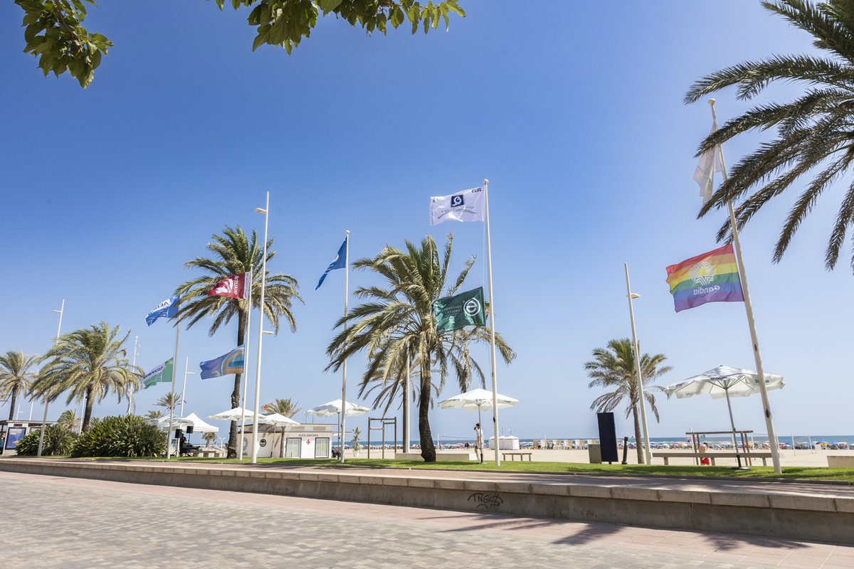 aj_gandia's tweet photo. 🏖️ Gandia consolida els seus màxims estàndards de qualitat a les platges després de renovar totes les seues certificacions i banderes fins a 2027.

ℹ️ https://t.co/NtyNKinUqC https://t.co/o6B7LUddTo
