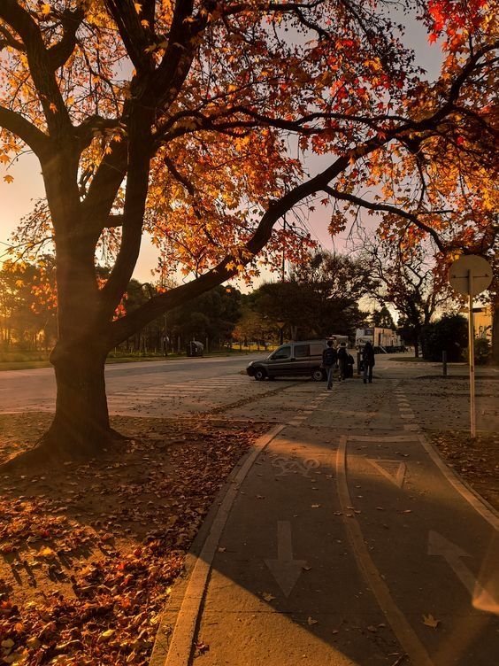 InFiniteH0riZ0n's tweet photo. Streets in autumn https://t.co/mDIV0ypVag