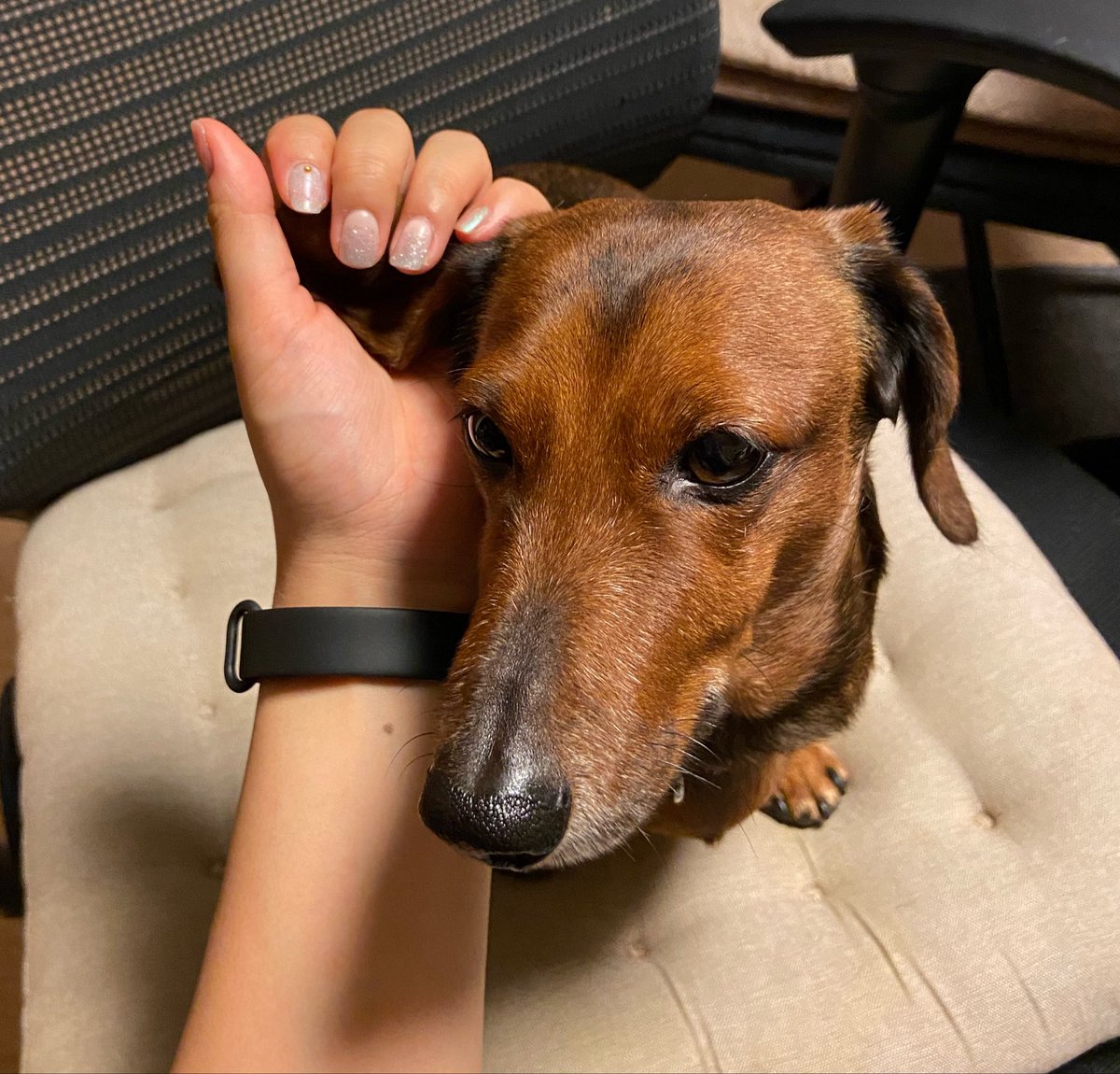 long_short_dog's tweet photo. https://t.co/8glzH9CNgw