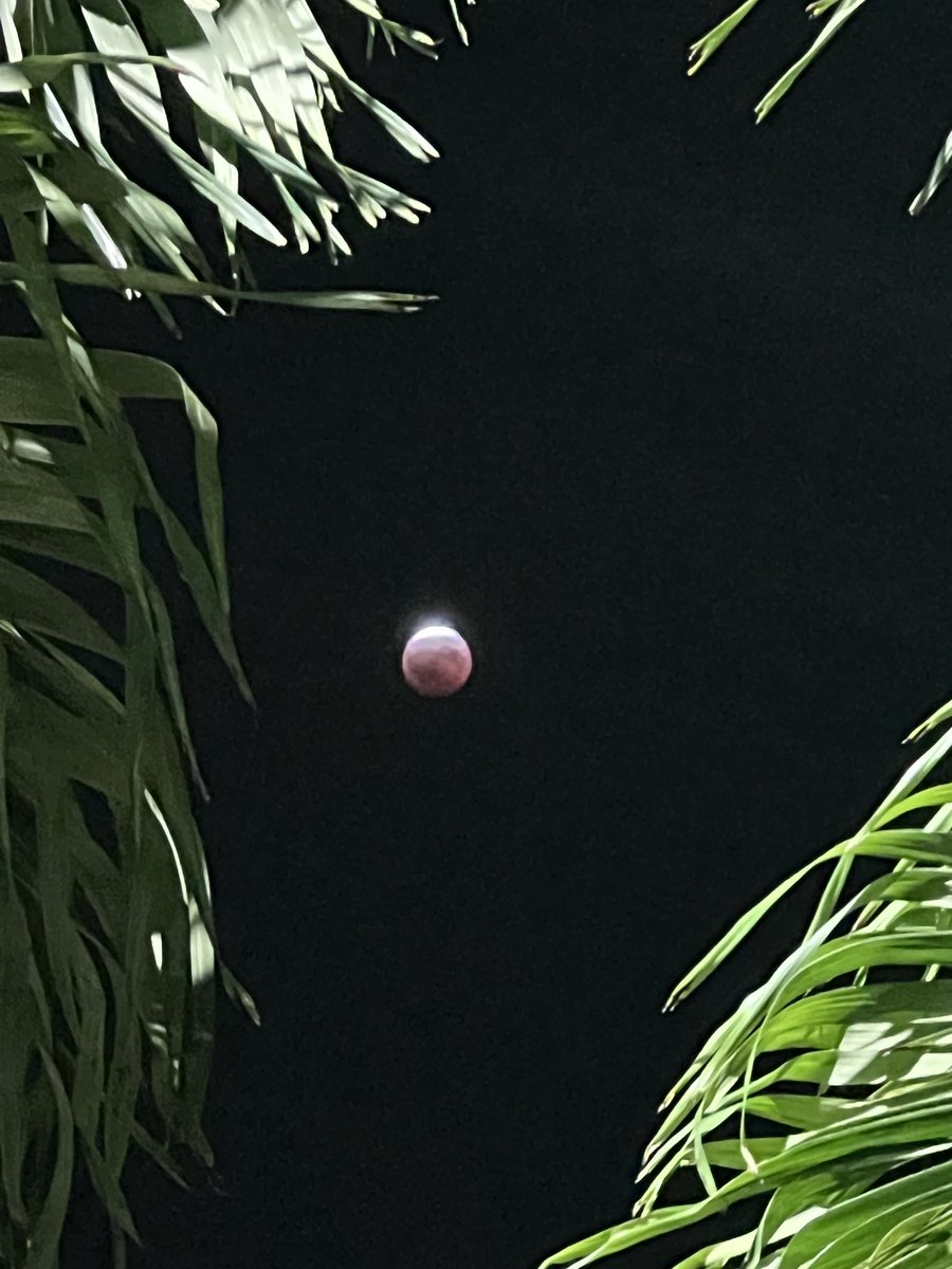 deb_castle's tweet photo. 🫪🌘 La luna con su tono rojizo enamora más.

 #lunareclipse #eclipselunar2026 
#moon #eclipse https://t.co/tNfcZ1UhaR