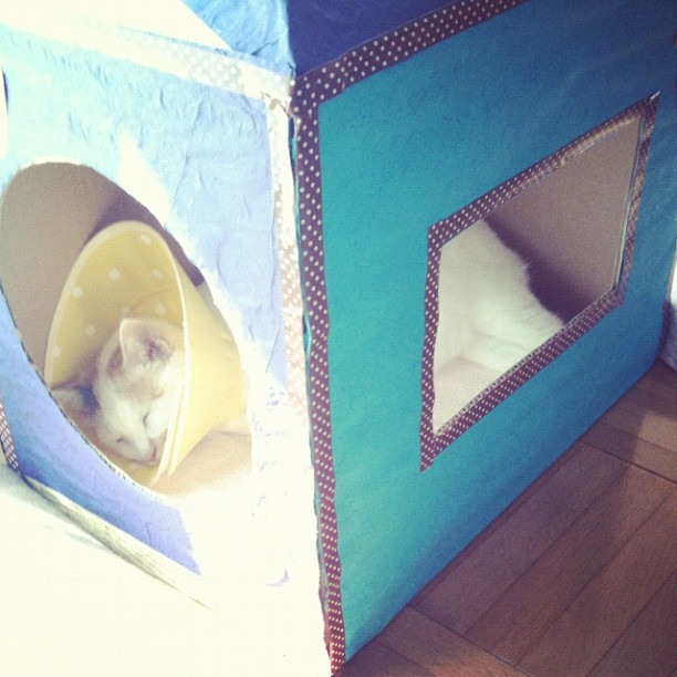 BarbieJoseyc9's tweet photo. 記憶はどこか遠くで眠っている。無理に起こすこともない。ただそこにあるだけで、時はいつの間にか過ぎていくものだ。 https://t.co/a0YIDUTvOJ