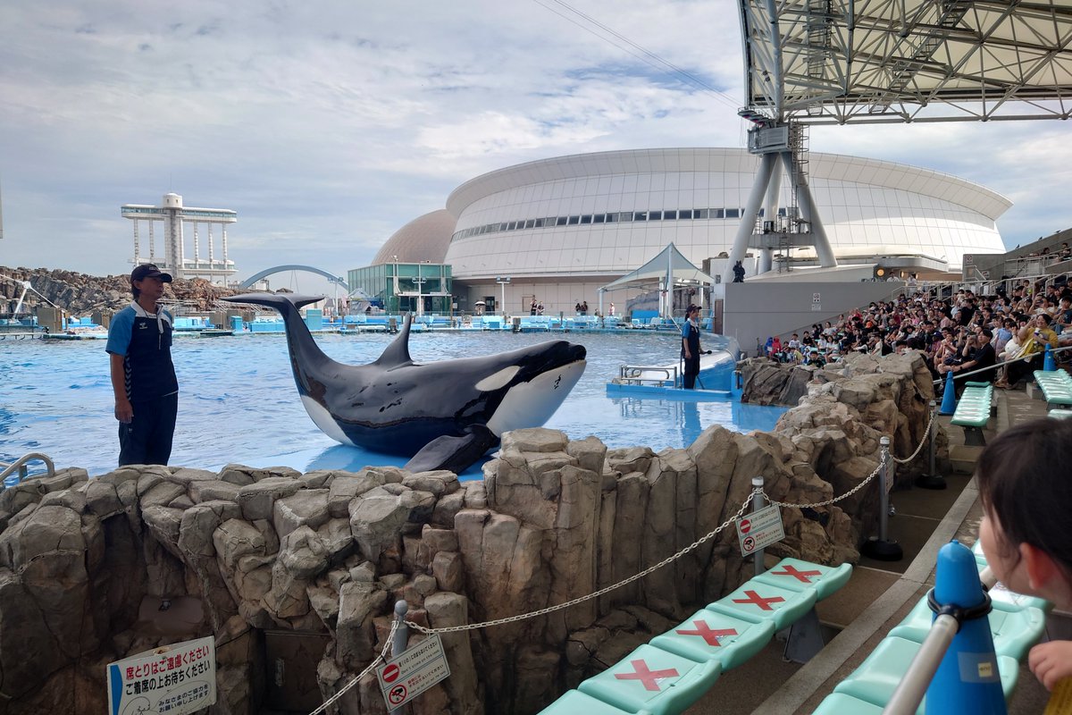 FB16DIT's tweet photo. 今日のリンちゃんはラストに単独で上陸してくれました！
#名古屋港水族館 https://t.co/LmQ7beY6DK