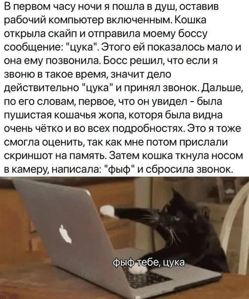 Elenaprostota's tweet photo. https://t.co/72N5kv0D8B
