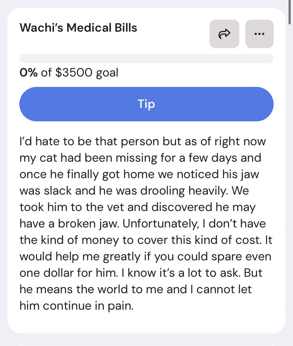 tally885's tweet photo. I really really really hate to be that person but my cat went missing for a few days and he came back with what looks like a broken jaw (vet confirmed) and the bills are COSTLY….he means everything to me and it’d mean the world if you could spare anything for him + (link below) https://t.co/Hgf1AHw5xe