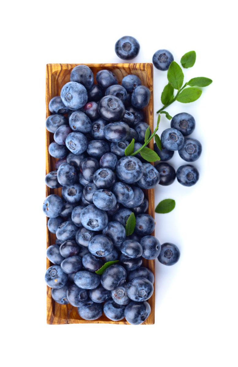 SimonOM13's tweet photo. Trying out fresh wild blueberries from the local farmers market today! Juicy, plump, and bursting with natural sweetness—perfect for morning oatmeal or a quick snack. https://t.co/hMLH5Z0meG