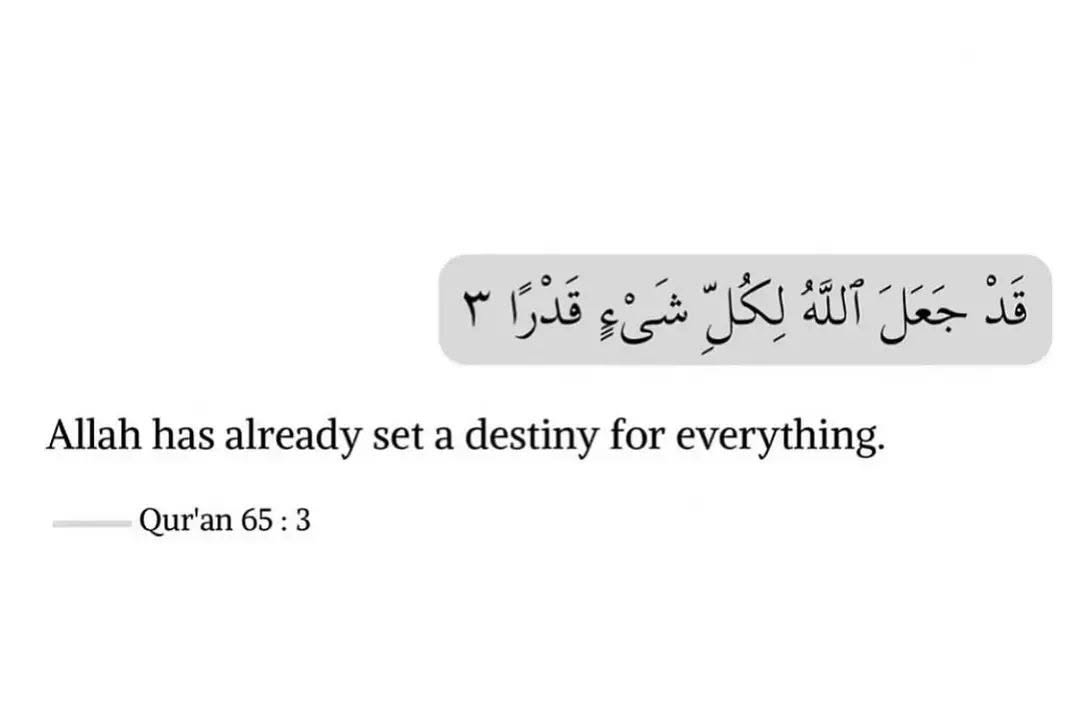 sukarnoandjfk's tweet photo. @_OliveCommunity @hanan364913 Allah has written everything
Ya Rab, shower Your mercy upon this family! https://t.co/mJfKM0IESU