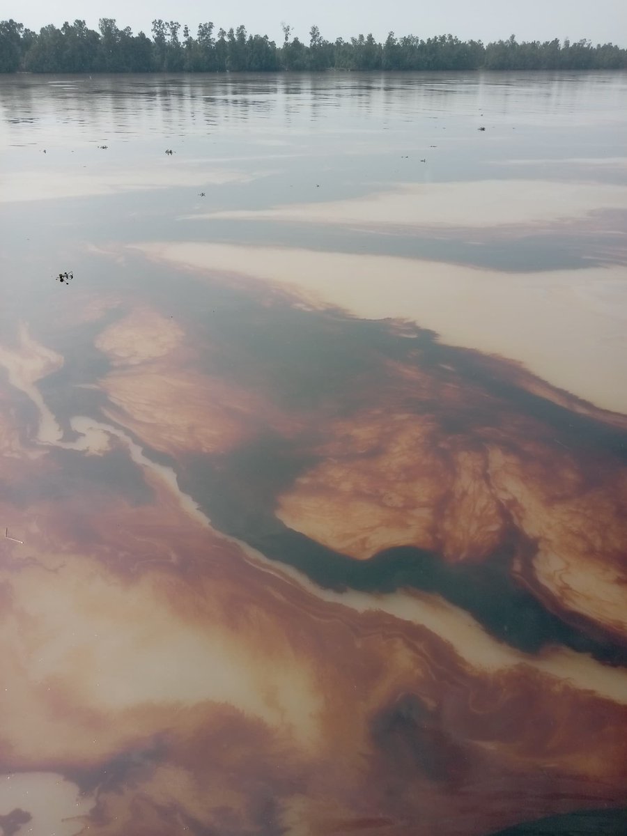 JuniorWarmate's tweet photo. I come from the most polluted place in the world "Niger Delta" 
I want the world to hear our story https://t.co/LAarflrYP4
