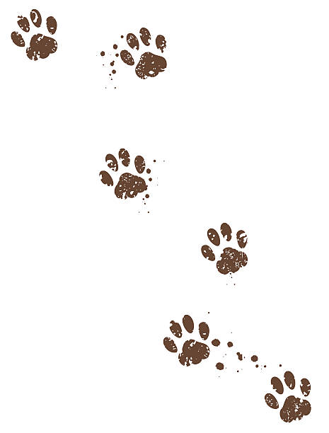 tfl3nwt's tweet photo. 海風🐾🌬️ https://t.co/kzflfHTQUp
