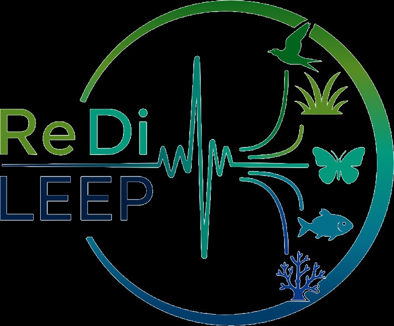 EuraxessChina's tweet photo. 6 PhD positions in ecosystem preservation and response diversity available via the ReDiLEEP MSCA Doctoral Network! Positions located in Europe and Australia.
Details: https://t.co/XTDxx6LA5Z 
#PhD #Ecology #Biodiversity #MSCA #HorizonEurope #ResearchJobs https://t.co/nj8vJ7ocNh