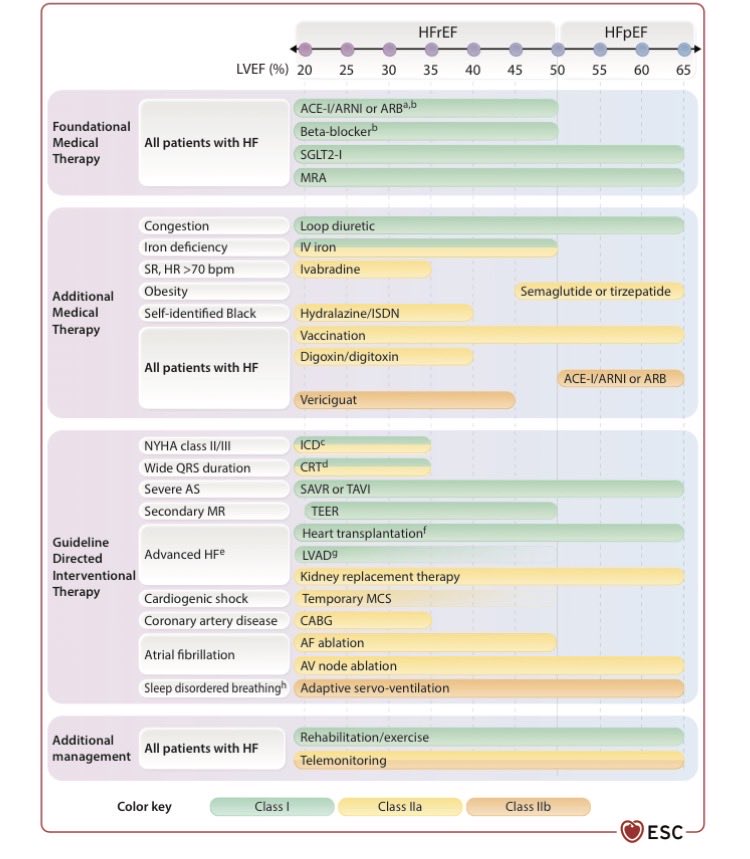 SantasEnrique's tweet photo. 🚨 The 2026 @escardio #HeartFailure Guidelines are here❗️#ESCcongress @secardiologia 
1) HFmrEF is gone.
Acute HF is gone.
NT-proBNP cut-offs are now age-adjusted.

Everything that matters 🧵👇

2/ 🔄 NEW DEFINITION — two phenotypes only

❤️‍🩹 HFrEF → LVEF <50% + symptoms/signs
🫀 HFpEF → LVEF ≥50% + symptoms/signs + objective evidence of structural/functional abnormality

❌ HFmrEF eliminated: same aetiology, same pathophysiology, same treatment response as HFrEF