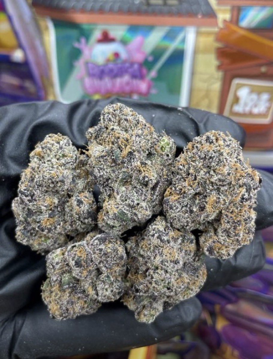 mobileplug44's tweet photo. I’m mobile I got good deals and I’m delivering you tryna shop hmu I’m MOBILE WITH THE GAS N DISPOS IN ORLANDO FL #orlandoflorida #weed #plug #Orlando #orlandoweed #Kissimmee #Miami #Davenport #Poinciana #Disney100 #florida 

Check link in bio https://t.co/fiS7hmMyHI