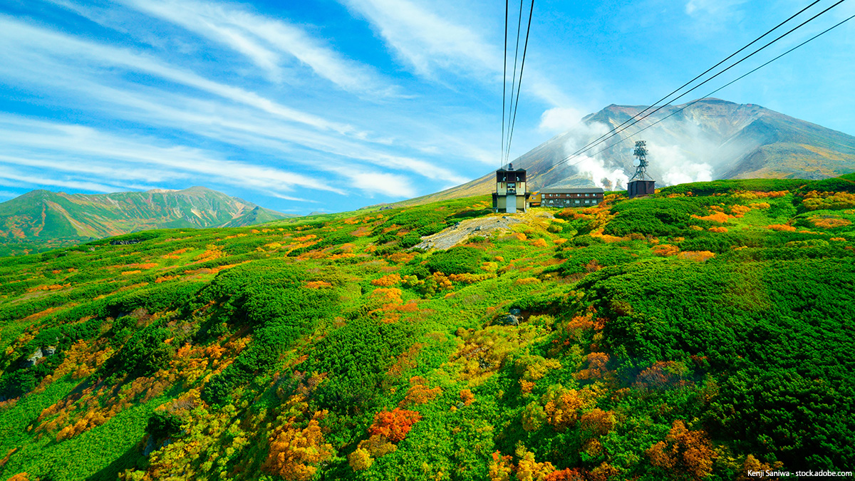 tlife_hd's tweet photo. ／
紅葉に染まった大地をめぐる
秋の北海道へ🍁
＼

紅葉に染まった山々や池、雄大な自然が織りなす美瑛や富良野の絶景を満喫✨
小樽観光やきらめく夜景も🌃

この秋、話題の北海道旅行へ行きませんか？

▼北海道ツアーはこちら▼
https://t.co/2r3AheiDzS

#北海道旅行 #国内旅行 #紅葉 https://t.co/vFNMLSlUbV