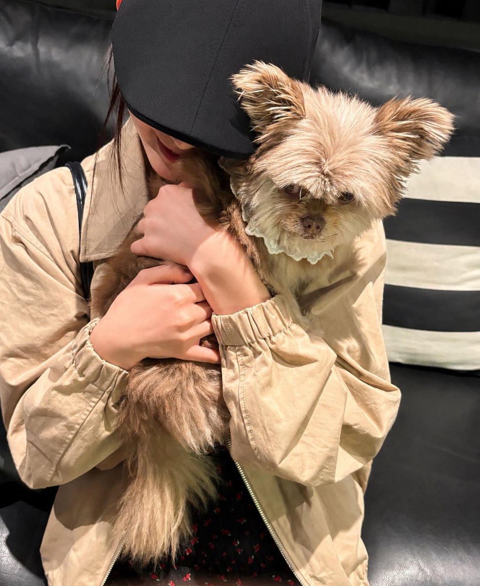 ifeyearchive's tweet photo. “2 puppies”
“Meong”
“Newww LP”

#ifeye #이프아이 #KASIA #카시아 https://t.co/f8fwDQEFHs