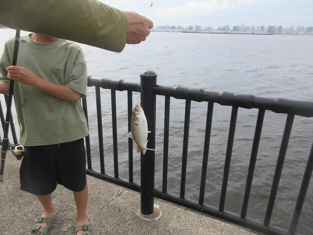 若洲 海浜 公園 海 釣り 施設