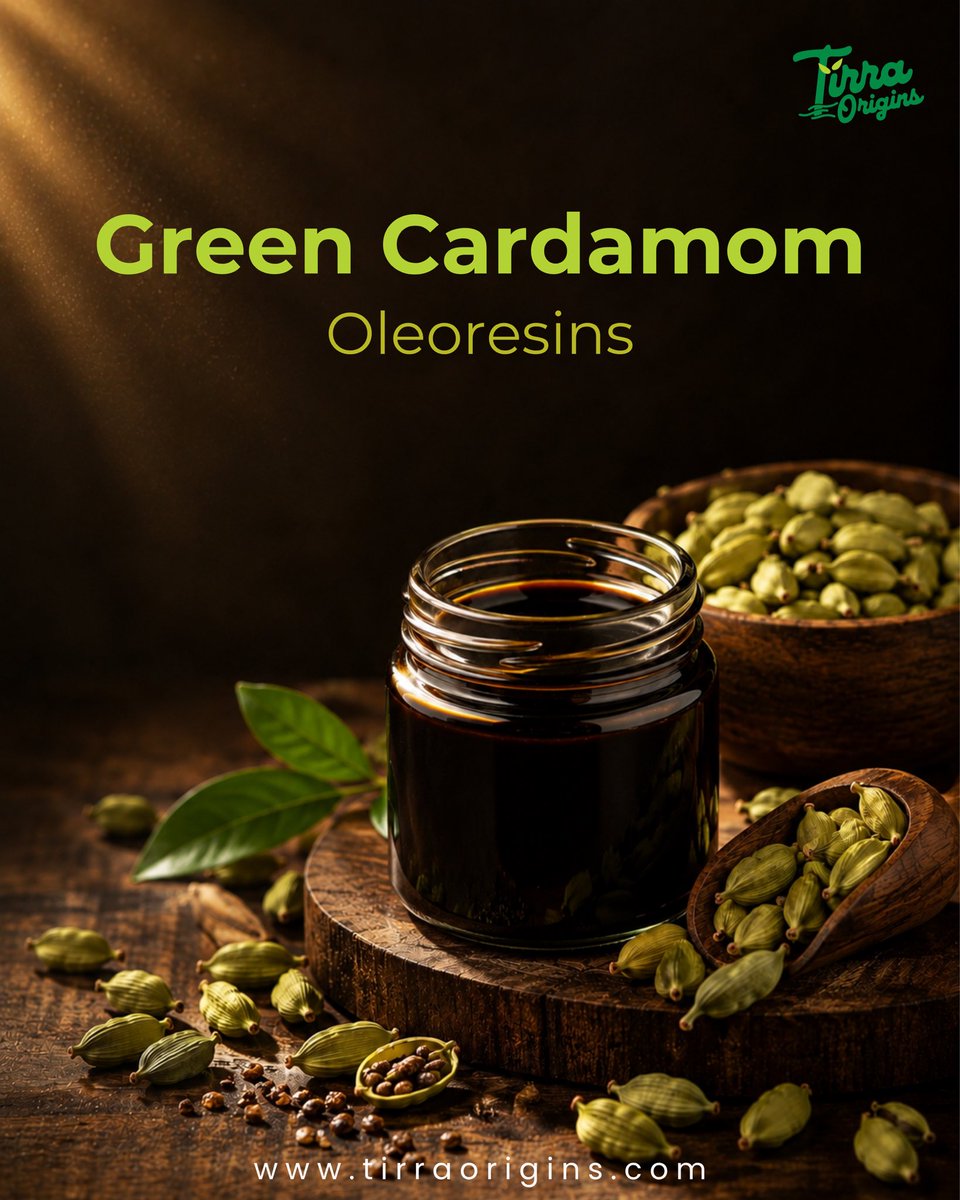 tirraorigins's tweet photo. Whole cardamom gives you the spice. Oleoresin gives formulators a concentrated form of its flavour and aroma.
Have a specific formulation or sourcing requirement? Talk to us.
#TirraOrigins #Tirra #EXIM #Export #Wholesale #Retail #Spices #GreenCardamom #Oleoresin https://t.co/l0tjIBIuNq