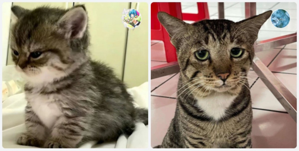 linowkwk's tweet photo. what i sent vs what he sent 😭 https://t.co/YmxNuwqxm9