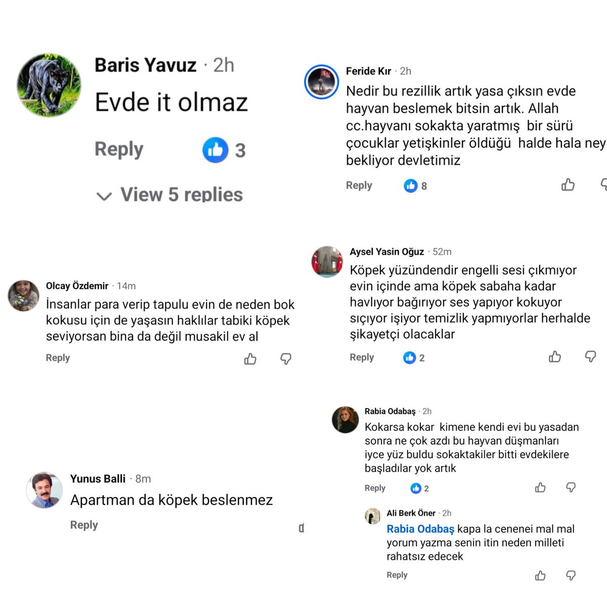 Barbaros_Ayt's tweet photo. Evinde hayvan besleyen ama dışarıya sesi çıkmayan, uğraşmak istemeyen arkadaşlarınıza bunları gösterin. Bunlar tek bir haberin altından beş dakikada topladığım yorumlar. Bunlarla dolu sosyal medya.  "Sıra kedilere, martılara, evinizin içindekine gelecek." derken şaka yapmıyorduk.

#SokakHayvanlarıSahipsizDeğil #HayvanaŞiddetSuçtur #kedi