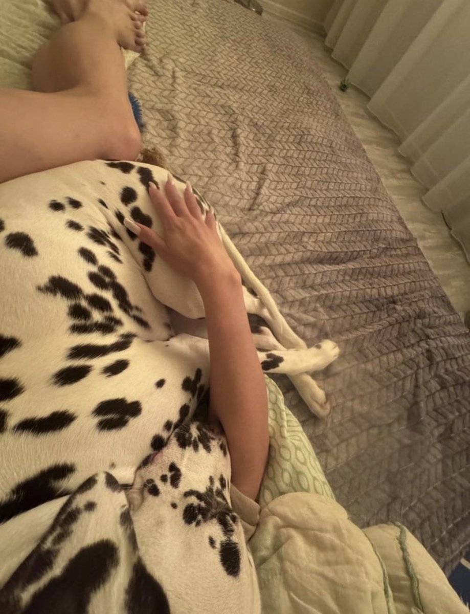 Soniayfo41a's tweet photo. New post just hit Me and my furry bestie are back at it with all the vibes  Come see what we made https://t.co/8pgjNyC28s

#zoophilia #bestiality #doglover #dogknotting #dogsex #knotty #dogpill #puppy #dogwhore #dogwoman #transgender
#LGBTQ #dogwhore #artofzoo
#artofzoofirsttime https://t.co/JEeSjd19jW