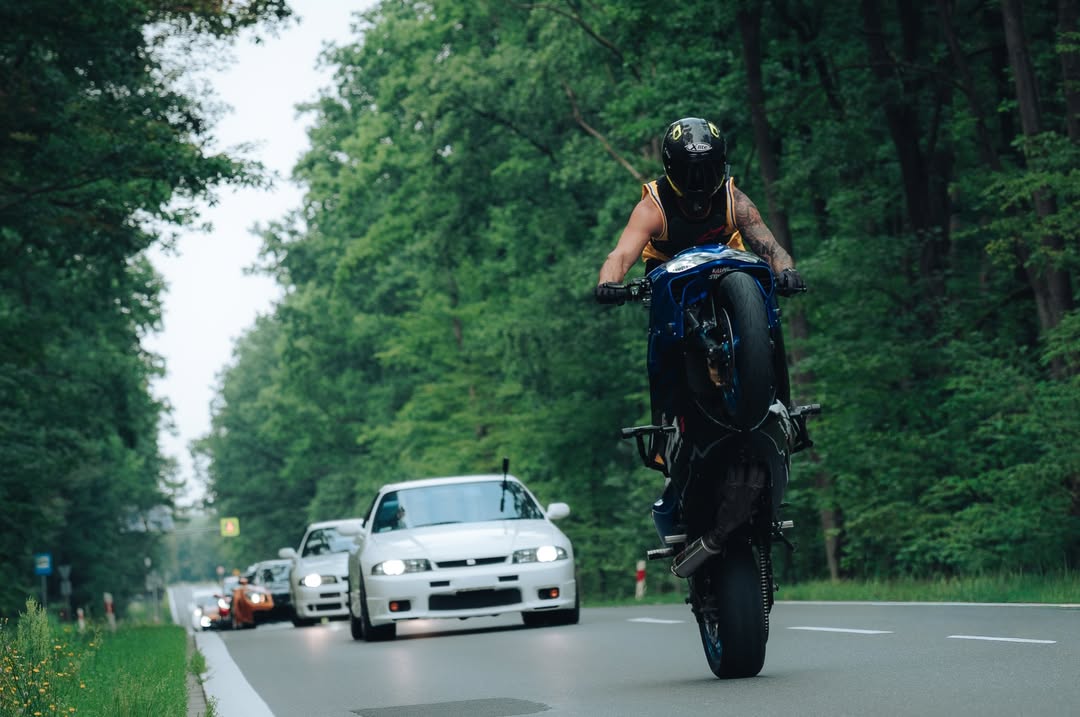 CatinaBlanche's tweet photo. And that’s it for the guy… Hang in there, @nooorbertb. Photo: @detal_photography https://t.co/RDbsylk7FC