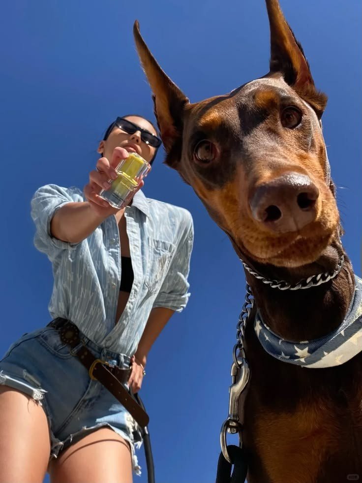 PanshytaRetamal's tweet photo. Emilia 📽️📽️
#zoophillia #zoosarevalid #beastiality #dogknot #zooprideisvalid #zoophile #antizoo #antizoophileantizoo #k9girl #zoopride
#zoophilep
 
Send me a message ➡️ https://t.co/FDQBw3Rb5g https://t.co/s5otSjpvxs